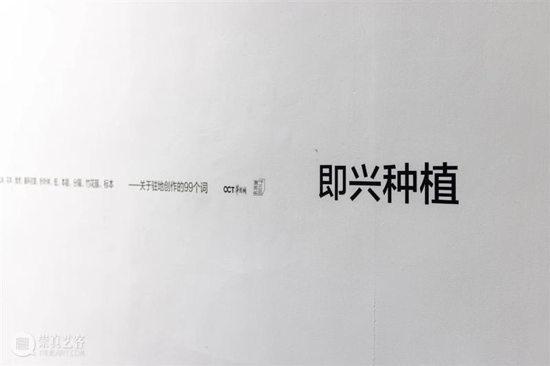 任倢 :即兴种植 | 驻地工作坊第27期 任倢 驻地 工作坊 华侨城盒子美术馆驻地工作坊 艺术家 主办单位 华侨城盒子美术馆 广州美术学院油画系 项目 总监 崇真艺客