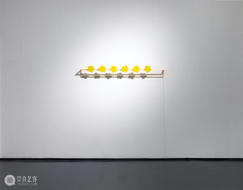 任倢 :即兴种植 | 驻地工作坊第27期 任倢 驻地 工作坊 华侨城盒子美术馆驻地工作坊 艺术家 主办单位 华侨城盒子美术馆 广州美术学院油画系 项目 总监 崇真艺客