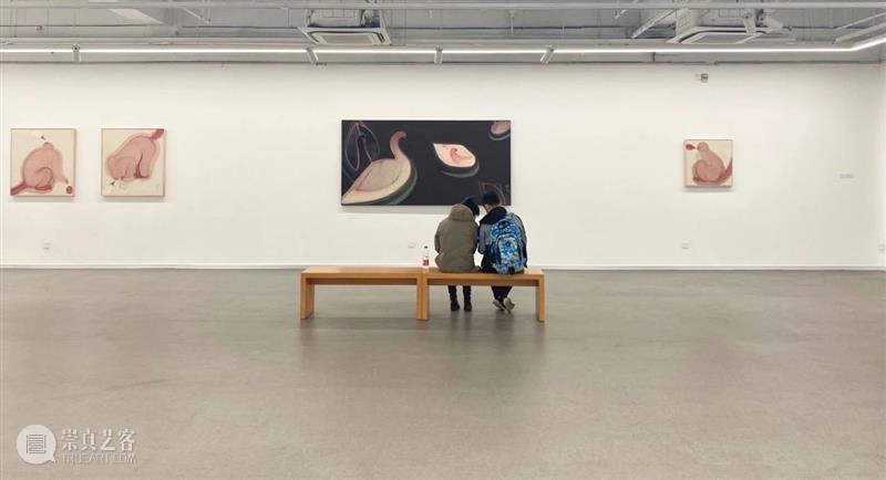 【美博美术馆】 允许误读：马兆琳个展——物象独白 物象 独白 个展 马兆琳 美博美术馆 晓君 主题 允许误读 艺术家 动物 崇真艺客