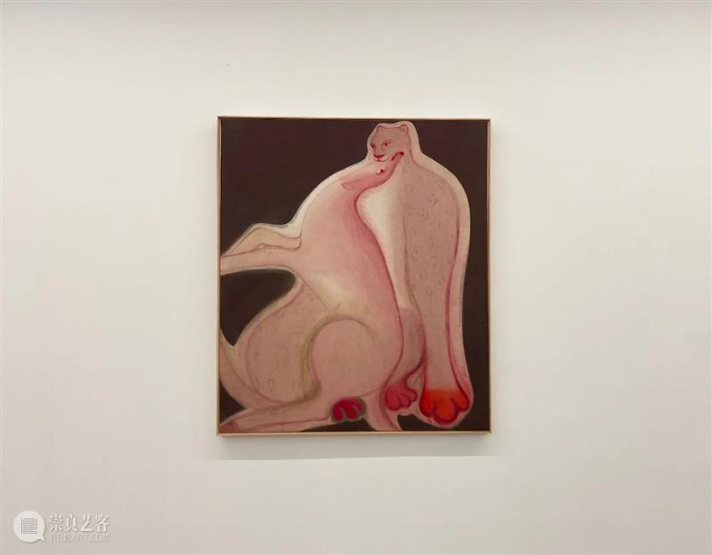 【美博美术馆】 允许误读：马兆琳个展——物象独白 物象 独白 个展 马兆琳 美博美术馆 晓君 主题 允许误读 艺术家 动物 崇真艺客