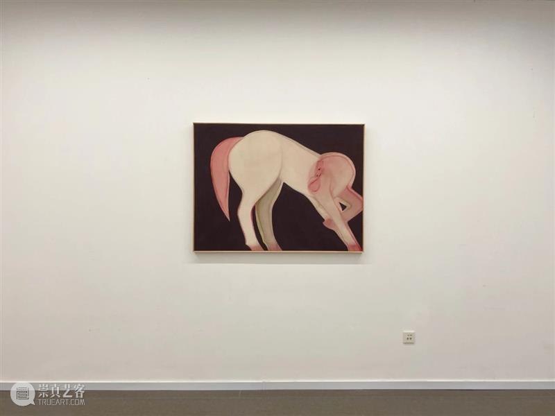 【美博美术馆】 允许误读：马兆琳个展——物象独白 物象 独白 个展 马兆琳 美博美术馆 晓君 主题 允许误读 艺术家 动物 崇真艺客