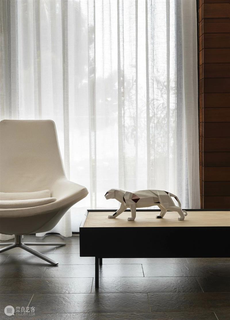 M50展览 |「真实的真实」pacowhy | 杜若云章画廊 pacowhy 画廊 社会 以来 人类 现代 艺术 柏拉图 洞穴 理论 崇真艺客