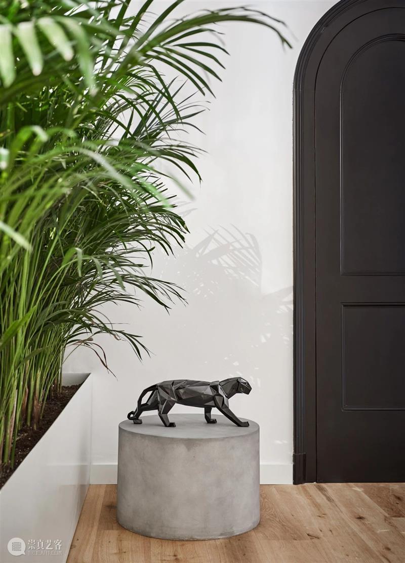 M50展览 |「真实的真实」pacowhy | 杜若云章画廊 pacowhy 画廊 社会 以来 人类 现代 艺术 柏拉图 洞穴 理论 崇真艺客