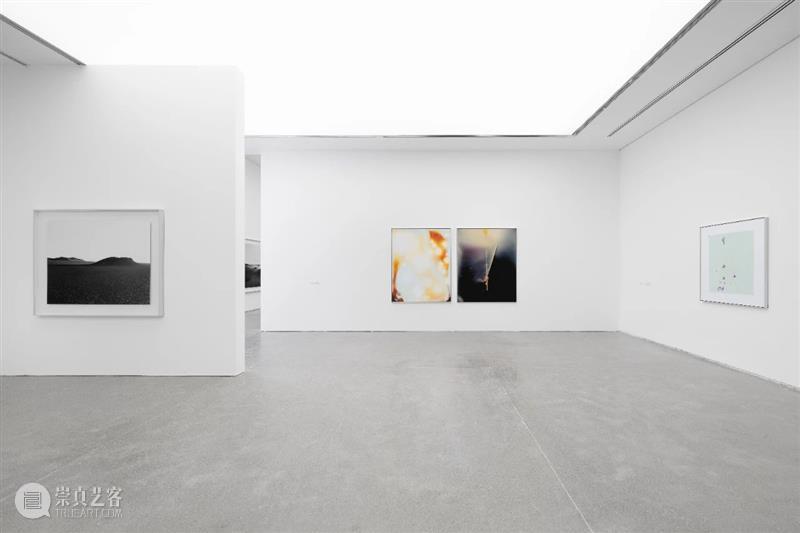 香格纳上海 | 蒋鹏奕个展《太阳是鸟儿衔来的》延期至5月13日 蒋鹏奕 太阳 鸟儿 香格纳 上海 个展 现场 艺术家 画幅 彩色 崇真艺客