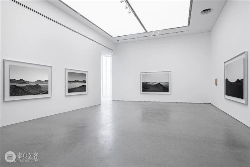 香格纳上海 | 蒋鹏奕个展《太阳是鸟儿衔来的》延期至5月13日 蒋鹏奕 太阳 鸟儿 香格纳 上海 个展 现场 艺术家 画幅 彩色 崇真艺客