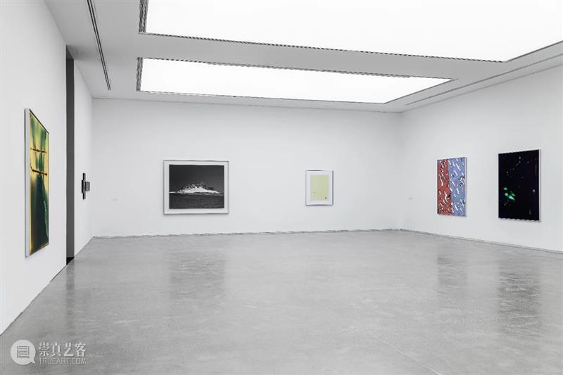 香格纳上海 | 蒋鹏奕个展《太阳是鸟儿衔来的》延期至5月13日 蒋鹏奕 太阳 鸟儿 香格纳 上海 个展 现场 艺术家 画幅 彩色 崇真艺客