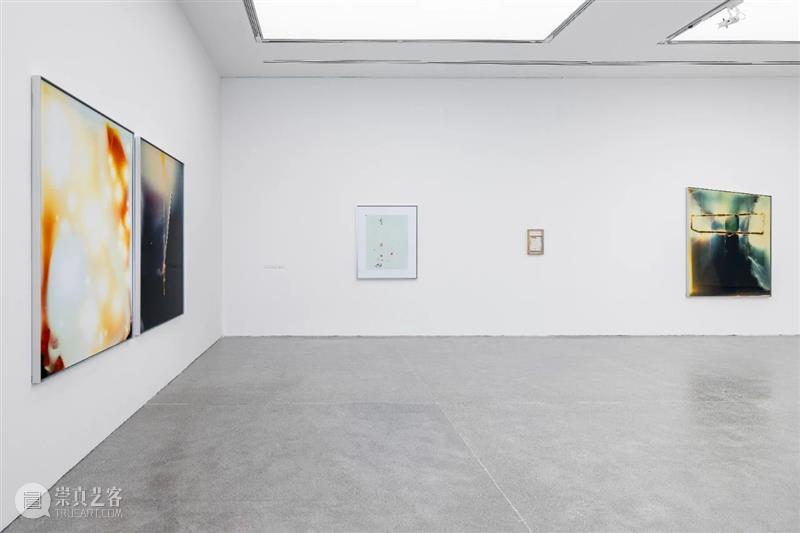 香格纳上海 | 蒋鹏奕个展《太阳是鸟儿衔来的》延期至5月13日 蒋鹏奕 太阳 鸟儿 香格纳 上海 个展 现场 艺术家 画幅 彩色 崇真艺客
