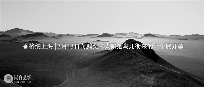 香格纳上海 | 蒋鹏奕个展《太阳是鸟儿衔来的》延期至5月13日 蒋鹏奕 太阳 鸟儿 香格纳 上海 个展 现场 艺术家 画幅 彩色 崇真艺客