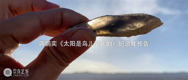 香格纳上海 | 蒋鹏奕个展《太阳是鸟儿衔来的》延期至5月13日 蒋鹏奕 太阳 鸟儿 香格纳 上海 个展 现场 艺术家 画幅 彩色 崇真艺客
