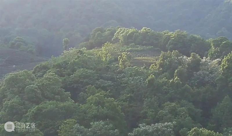 KennaXu画廊 | 严善錞的创作 Yan Shanchun 严善錞 KennaXu画廊 Yan 以下 文章 作者 版画 综合材料绘画 题材 杭州 崇真艺客