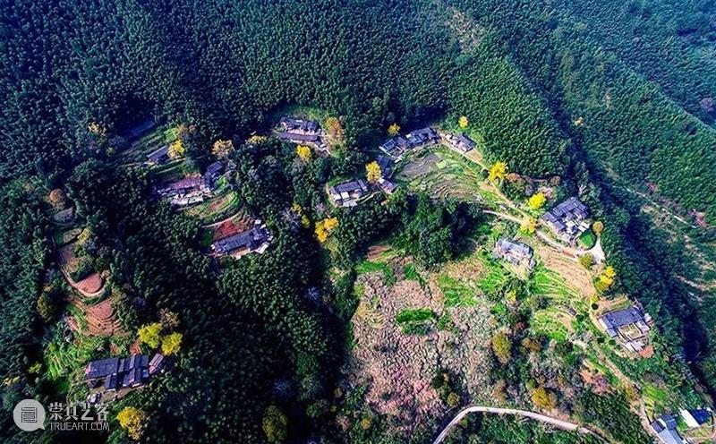 古树、远山、院子，德化古杏山舍民宿 / 厦门泛华·回应建筑工作室 民宿 建筑 古树 远山 院子 厦门泛华 德化 杏山 工作室 赵奕龙 崇真艺客