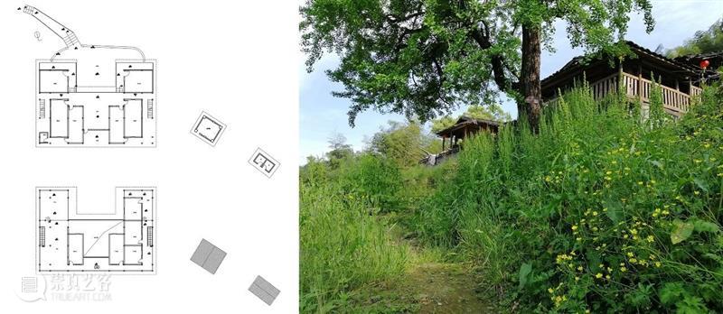 古树、远山、院子，德化古杏山舍民宿 / 厦门泛华·回应建筑工作室 民宿 建筑 古树 远山 院子 厦门泛华 德化 杏山 工作室 赵奕龙 崇真艺客