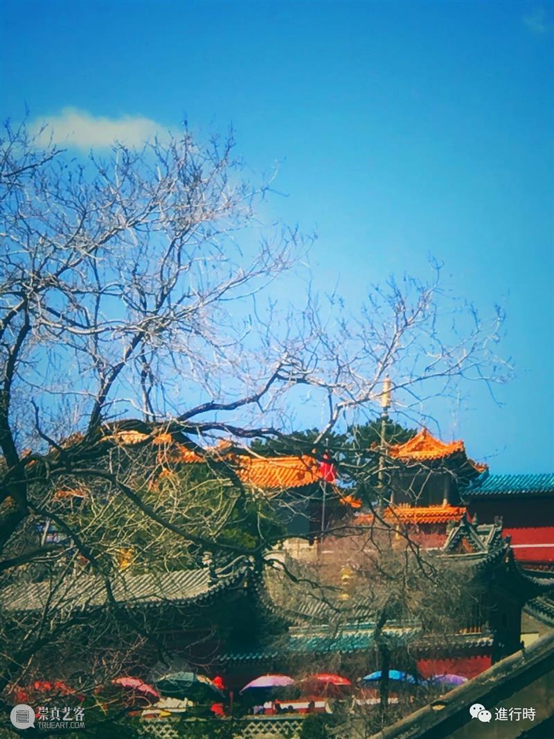 一草一木| 山上白雪皑皑 心中再无四季 山上 心中 旧友 五台山 过往 工作 原因 通讯录 旧识 朋友 崇真艺客