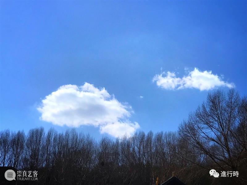 一草一木| 山上白雪皑皑 心中再无四季 山上 心中 旧友 五台山 过往 工作 原因 通讯录 旧识 朋友 崇真艺客