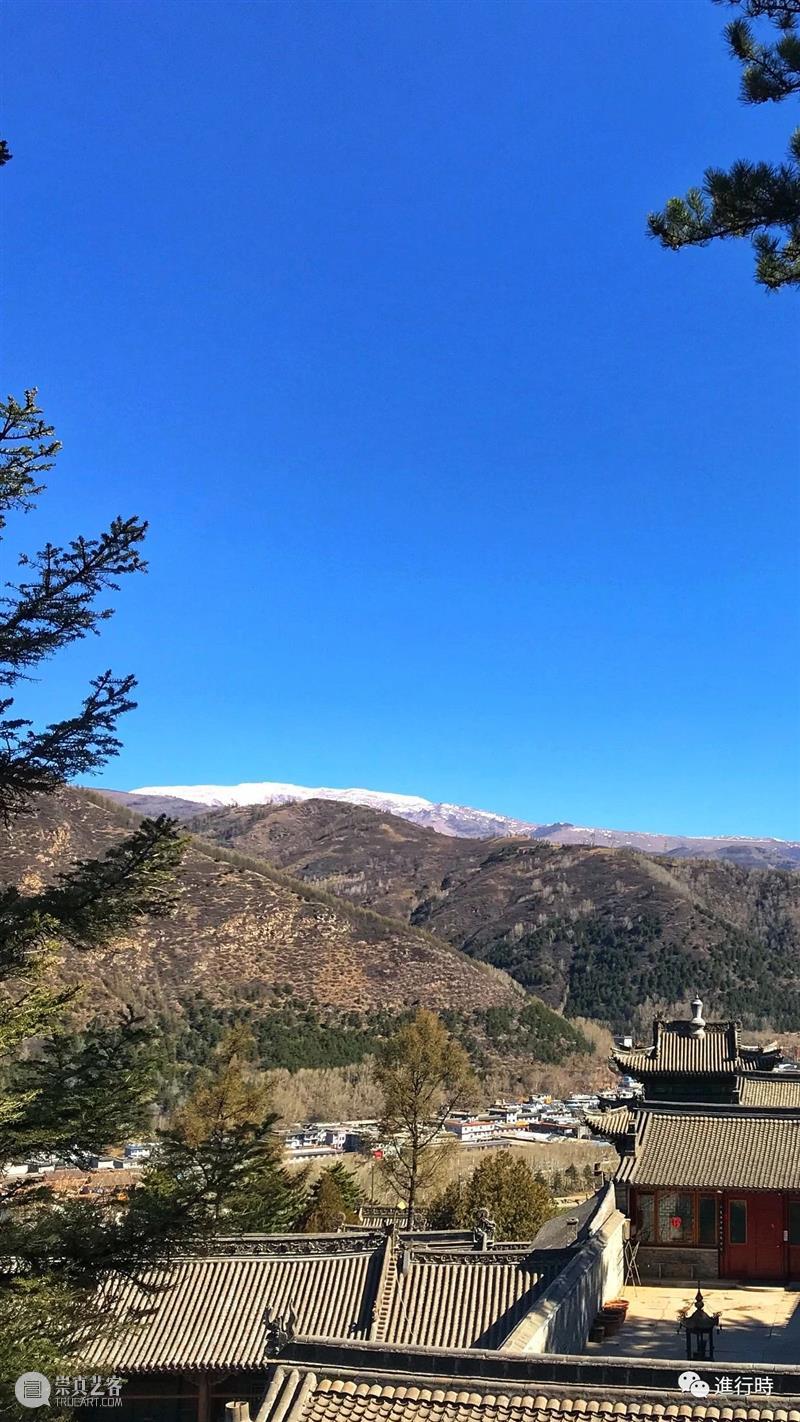 一草一木| 山上白雪皑皑 心中再无四季 山上 心中 旧友 五台山 过往 工作 原因 通讯录 旧识 朋友 崇真艺客