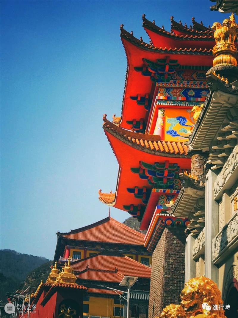 一草一木| 山上白雪皑皑 心中再无四季 山上 心中 旧友 五台山 过往 工作 原因 通讯录 旧识 朋友 崇真艺客