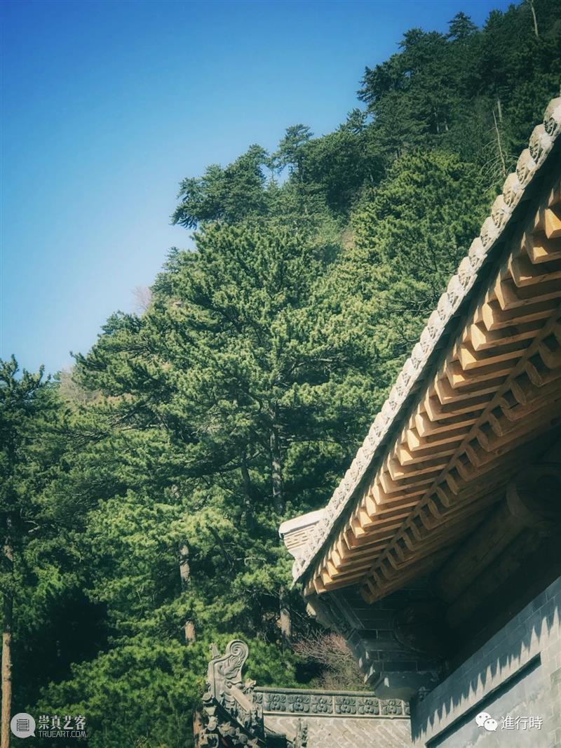 一草一木| 山上白雪皑皑 心中再无四季 山上 心中 旧友 五台山 过往 工作 原因 通讯录 旧识 朋友 崇真艺客