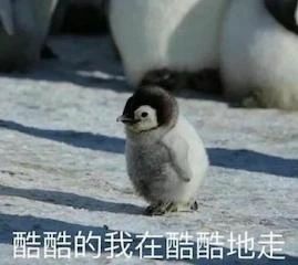 影视公司视频平台演员联合倡议书；《美国队长》将拍第四部 影视公司 视频 平台 演员 倡议书 美国队长 影视 好剧 小豆 公司 崇真艺客