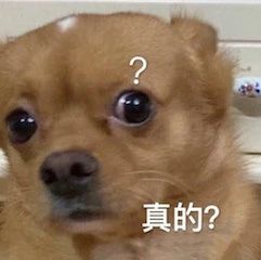 影视公司视频平台演员联合倡议书；《美国队长》将拍第四部 影视公司 视频 平台 演员 倡议书 美国队长 影视 好剧 小豆 公司 崇真艺客