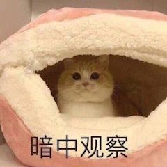 影视公司视频平台演员联合倡议书；《美国队长》将拍第四部 影视公司 视频 平台 演员 倡议书 美国队长 影视 好剧 小豆 公司 崇真艺客