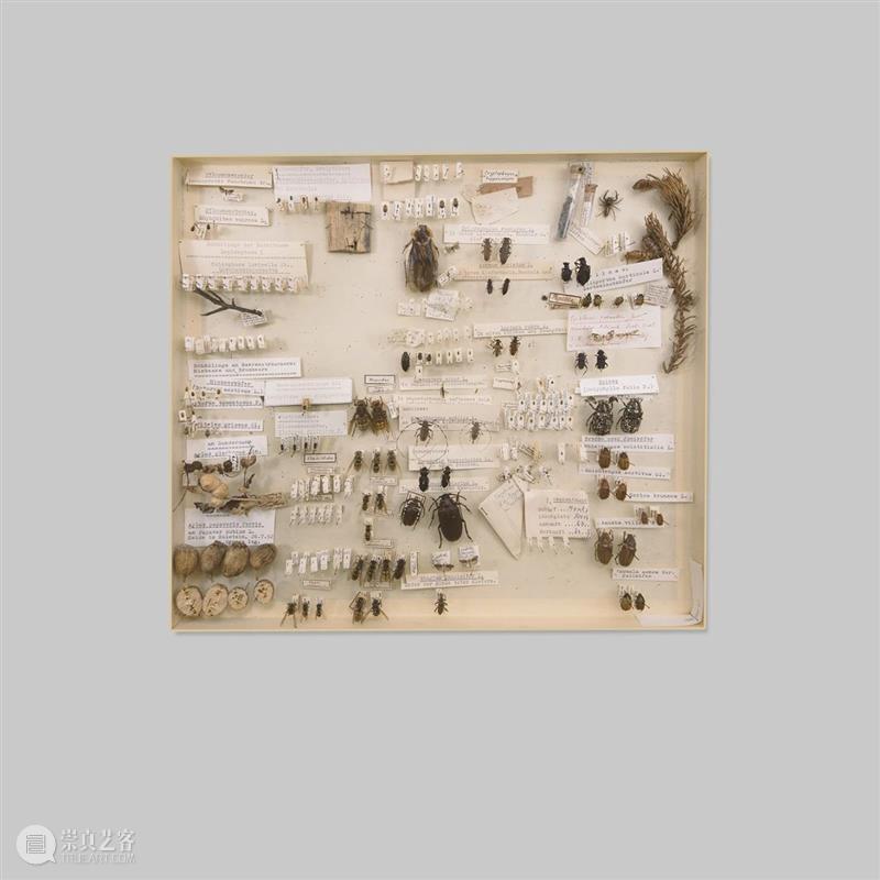 泛东南亚三年展延伸研究 | 赵仁辉：“当世界碰撞”（2017-2018）与批判性动物学家研究所 崇真艺客