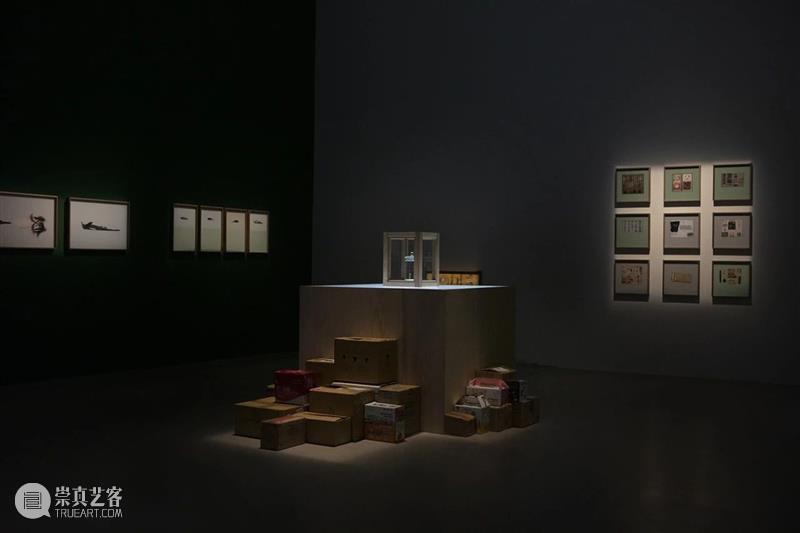 泛东南亚三年展延伸研究 | 赵仁辉：“当世界碰撞”（2017-2018）与批判性动物学家研究所 崇真艺客