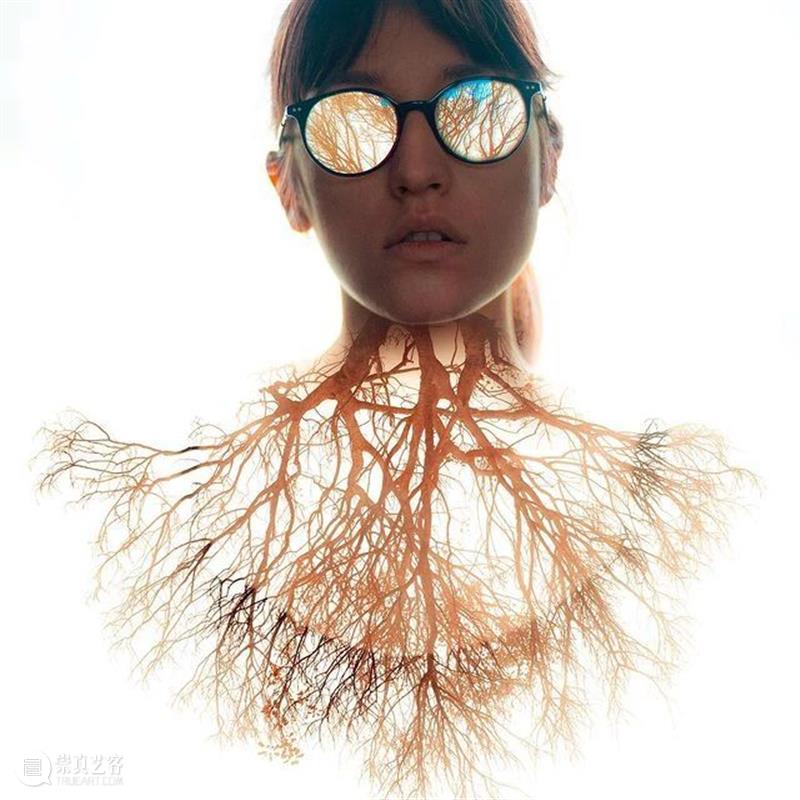 视觉丨这个疯狂摄影师说：烧了她！烧了她！ 视觉 摄影师 上方 中国舞台美术学会 右上 星标 本文 全球 Mathieu Stern 崇真艺客