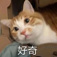 斯皮尔伯格新片首曝预告；《1921》一大代表角色全员官宣 斯皮尔伯格 新片 代表 角色 全员 官宣 影视 好剧 小豆 导演 崇真艺客