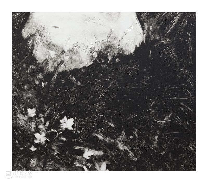 问象展讯|hu...hu...:金宝良个展 金宝良 个展 展讯 展期 Opening 地点 Location 艺术 空间 展馆 崇真艺客