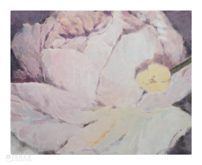 问象展讯｜hu...hu...：金宝良个展 金宝良 个展 展讯 展期 Opening 地点 Location 艺术 空间 展馆 崇真艺客
