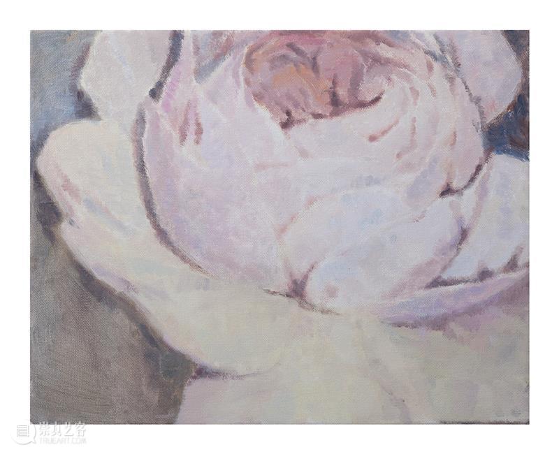 问象展讯｜hu...hu...：金宝良个展 金宝良 个展 展讯 展期 Opening 地点 Location 艺术 空间 展馆 崇真艺客