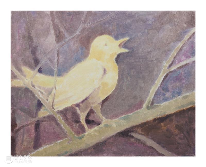 问象展讯｜hu...hu...：金宝良个展 金宝良 个展 展讯 展期 Opening 地点 Location 艺术 空间 展馆 崇真艺客