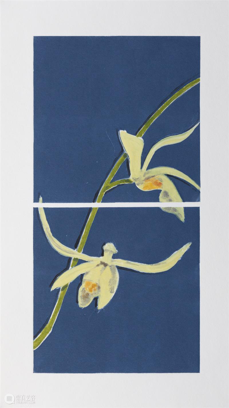 问象展讯|hu...hu...:金宝良个展 金宝良 个展 展讯 展期 Opening 地点 Location 艺术 空间 展馆 崇真艺客