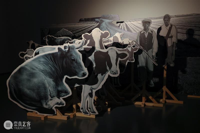 Lebohang Kganye | 并行中的肖像:南非当代摄影展 肖像 南非 摄影展 艺术家 艾丽斯·曼恩 勒博杭 克加尼 策展人 安静 时间 崇真艺客