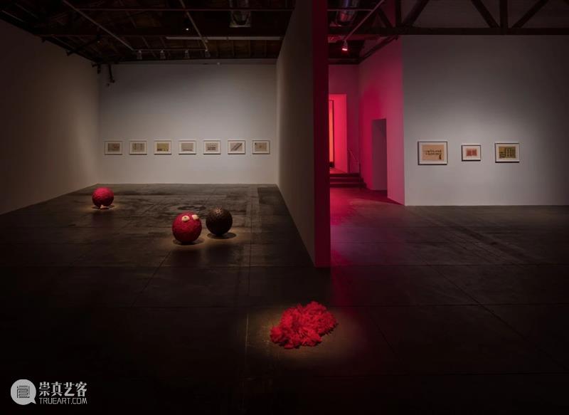 H&W展览:豪瑟沃斯洛杉矶艺术中心呈献莉吉娅·佩普个展「图皮南巴」 莉吉娅 佩普 皮南巴 个展 豪瑟沃斯洛杉矶艺术中心 巴西 艺术家 运动 成员 Lygia 崇真艺客