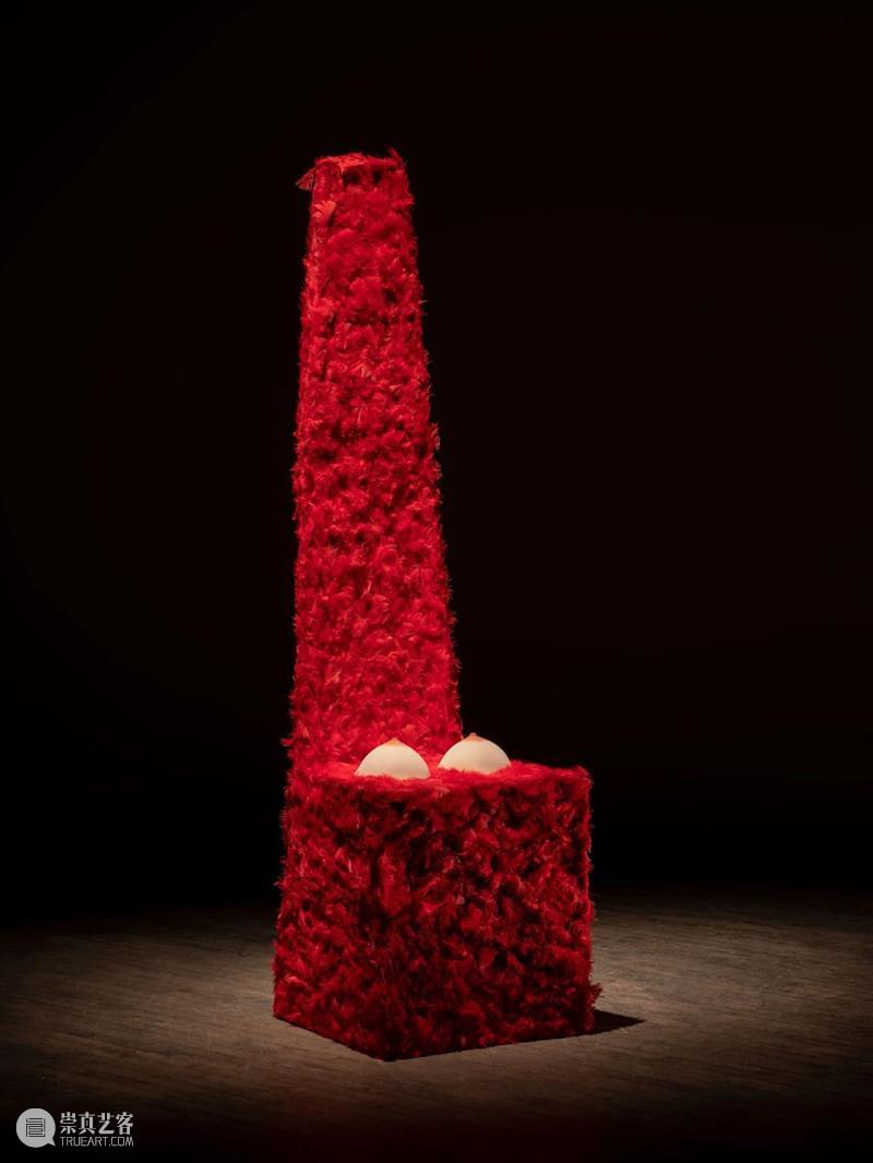 H&W展览:豪瑟沃斯洛杉矶艺术中心呈献莉吉娅·佩普个展「图皮南巴」 莉吉娅 佩普 皮南巴 个展 豪瑟沃斯洛杉矶艺术中心 巴西 艺术家 运动 成员 Lygia 崇真艺客
