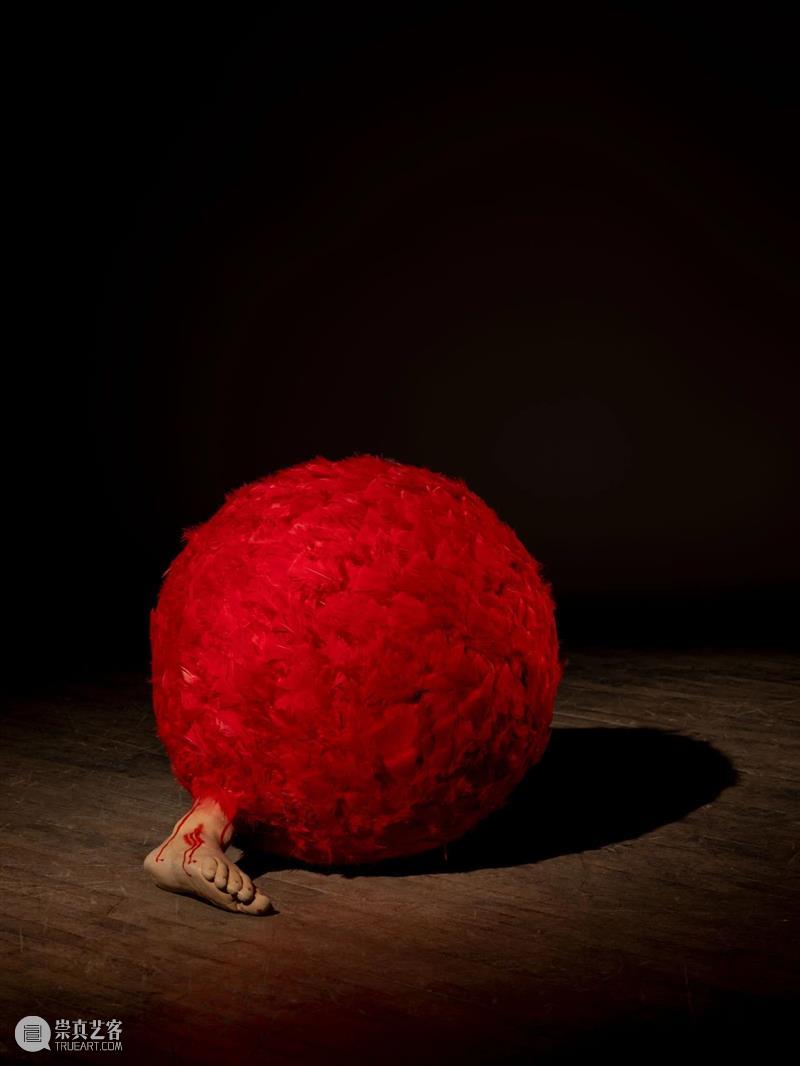 H&W展览:豪瑟沃斯洛杉矶艺术中心呈献莉吉娅·佩普个展「图皮南巴」 莉吉娅 佩普 皮南巴 个展 豪瑟沃斯洛杉矶艺术中心 巴西 艺术家 运动 成员 Lygia 崇真艺客