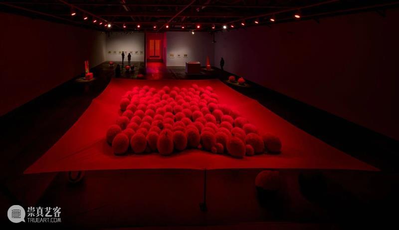 H&W展览:豪瑟沃斯洛杉矶艺术中心呈献莉吉娅·佩普个展「图皮南巴」 莉吉娅 佩普 皮南巴 个展 豪瑟沃斯洛杉矶艺术中心 巴西 艺术家 运动 成员 Lygia 崇真艺客