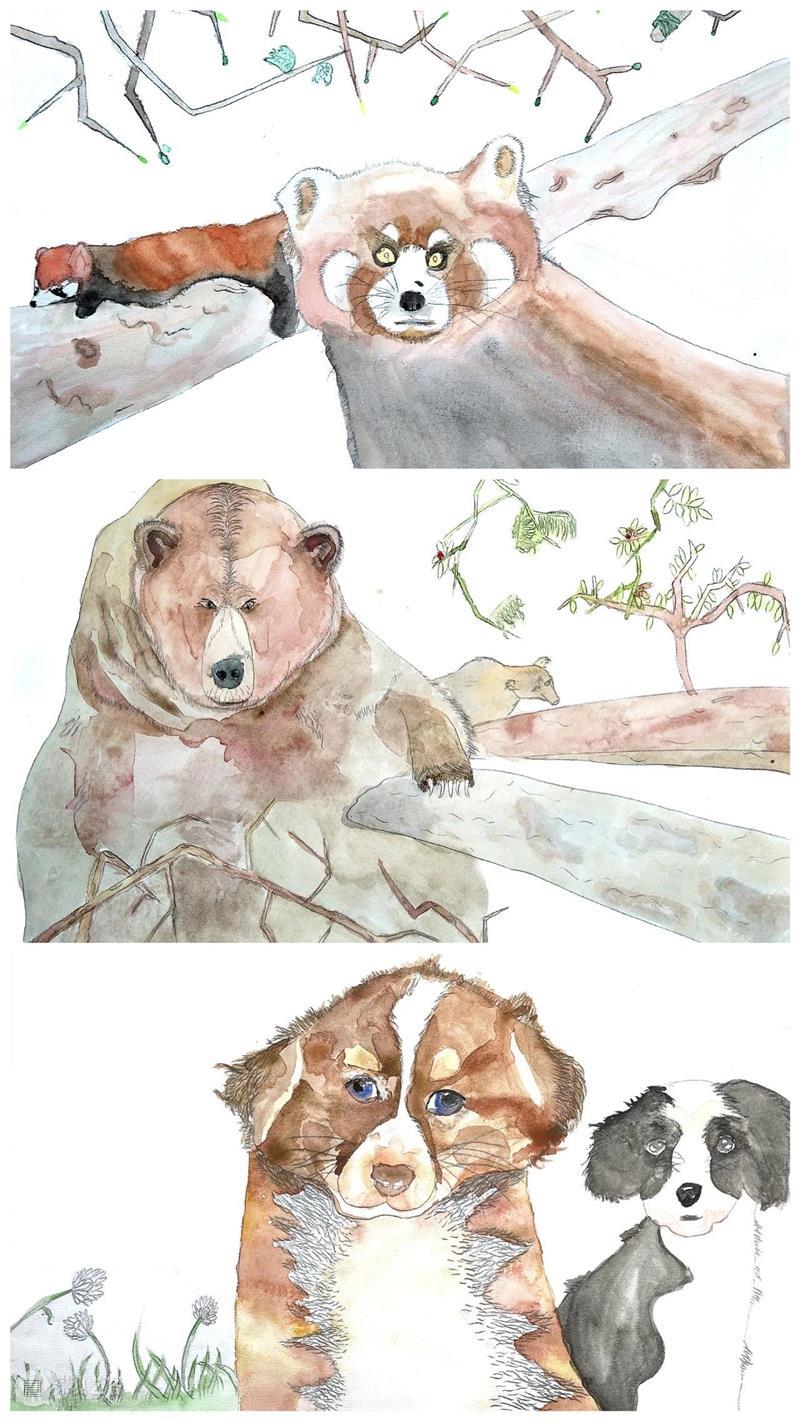 云征集 | “想象力大师”儿童插画大赛投稿作品精选(6)——萌宠动物系列 想象力 大师 儿童 插画 作品 大赛 动物 系列 萌宠 童话 崇真艺客
