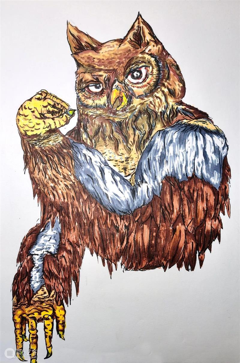 云征集 | “想象力大师”儿童插画大赛投稿作品精选(6)——萌宠动物系列 想象力 大师 儿童 插画 作品 大赛 动物 系列 萌宠 童话 崇真艺客