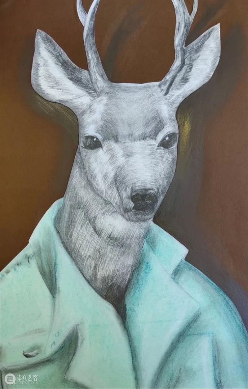 云征集 | “想象力大师”儿童插画大赛投稿作品精选(6)——萌宠动物系列 想象力 大师 儿童 插画 作品 大赛 动物 系列 萌宠 童话 崇真艺客