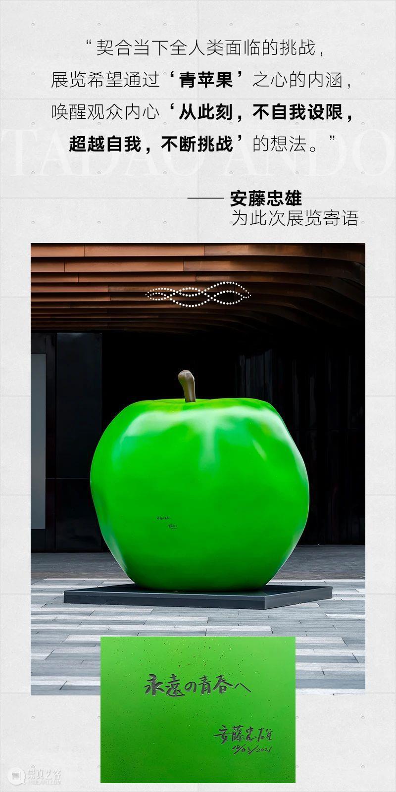 巨型“青苹果”首次空降中国,快来遇见安藤忠雄的艺术挑战! 青苹果 安藤忠雄 艺术 中国 青春 寓意 青葱 年华 人生 故事 崇真艺客