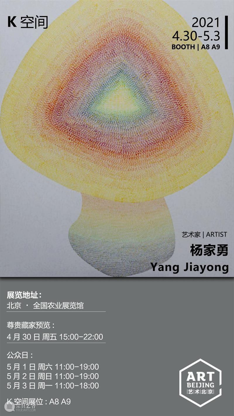 2021艺术北京K空间参展艺术家——杨家勇 崇真艺客