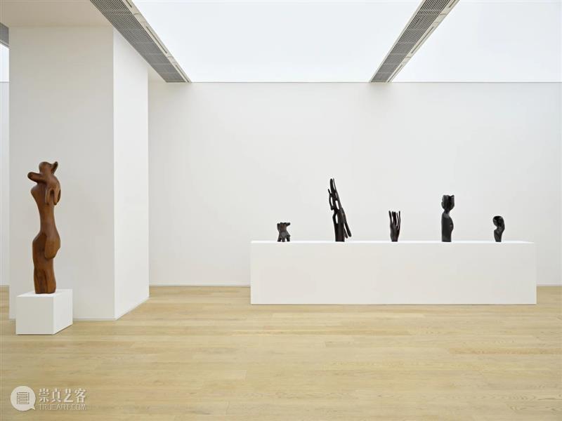 弥金GENE｜毛冠帅个展《透》现场 现场 弥金GENE｜毛冠帅个展 viewing展览 till 冠帅 Guanshuai Xiao毛冠帅 艺术 艺术家 动物 崇真艺客