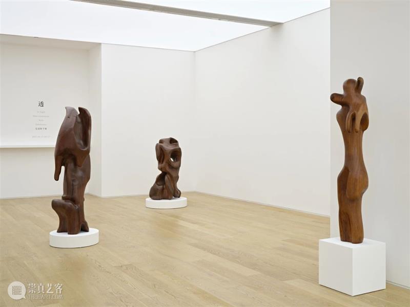 弥金GENE｜毛冠帅个展《透》现场 现场 弥金GENE｜毛冠帅个展 viewing展览 till 冠帅 Guanshuai Xiao毛冠帅 艺术 艺术家 动物 崇真艺客
