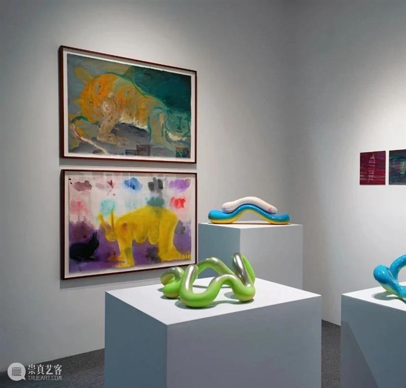 弥金GENE｜毛冠帅个展《透》现场 现场 弥金GENE｜毛冠帅个展 viewing展览 till 冠帅 Guanshuai Xiao毛冠帅 艺术 艺术家 动物 崇真艺客