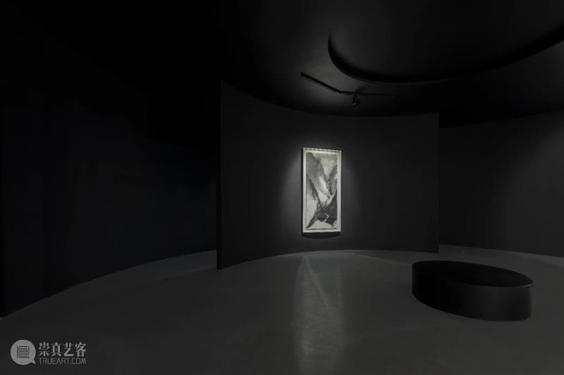 亚洲艺术家 | 沈勤&陈琦：一画明，画可从心  亚洲艺术中心 崇真艺客