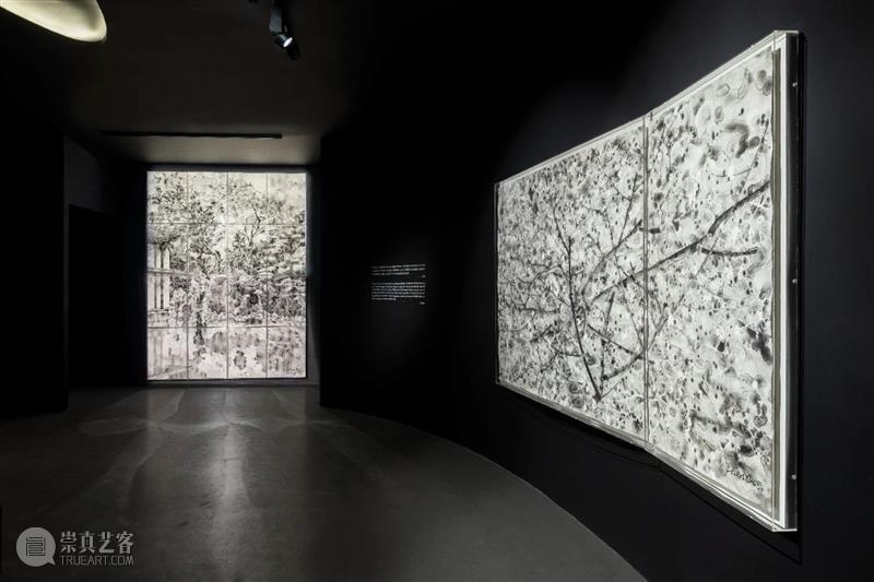 亚洲艺术家 | 沈勤&陈琦：一画明，画可从心  亚洲艺术中心 崇真艺客