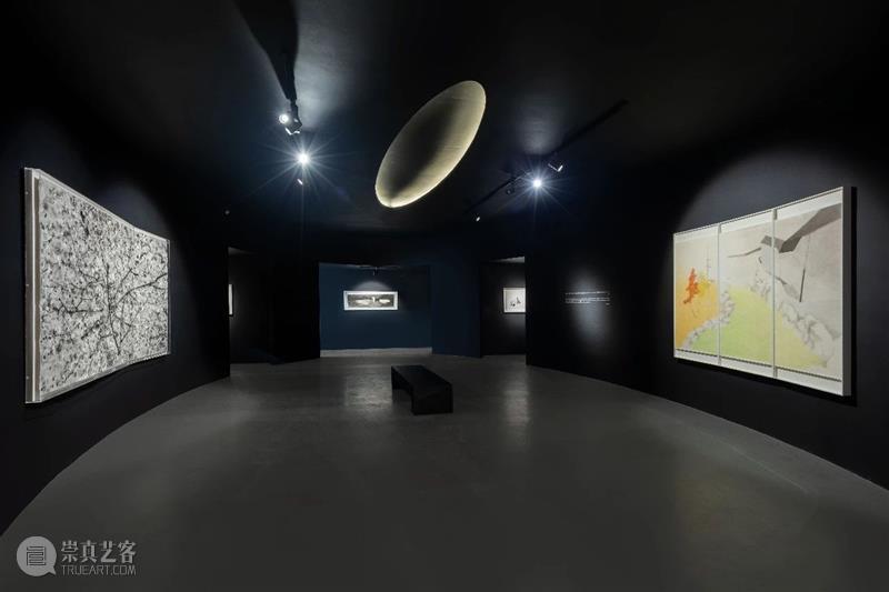 亚洲艺术家 | 沈勤&陈琦：一画明，画可从心  亚洲艺术中心 崇真艺客