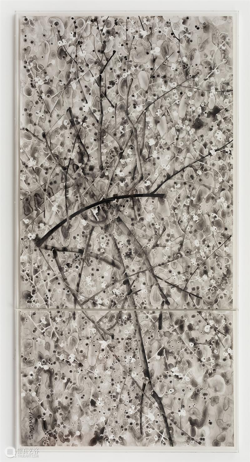 亚洲艺术家 | 沈勤&陈琦：一画明，画可从心  亚洲艺术中心 崇真艺客